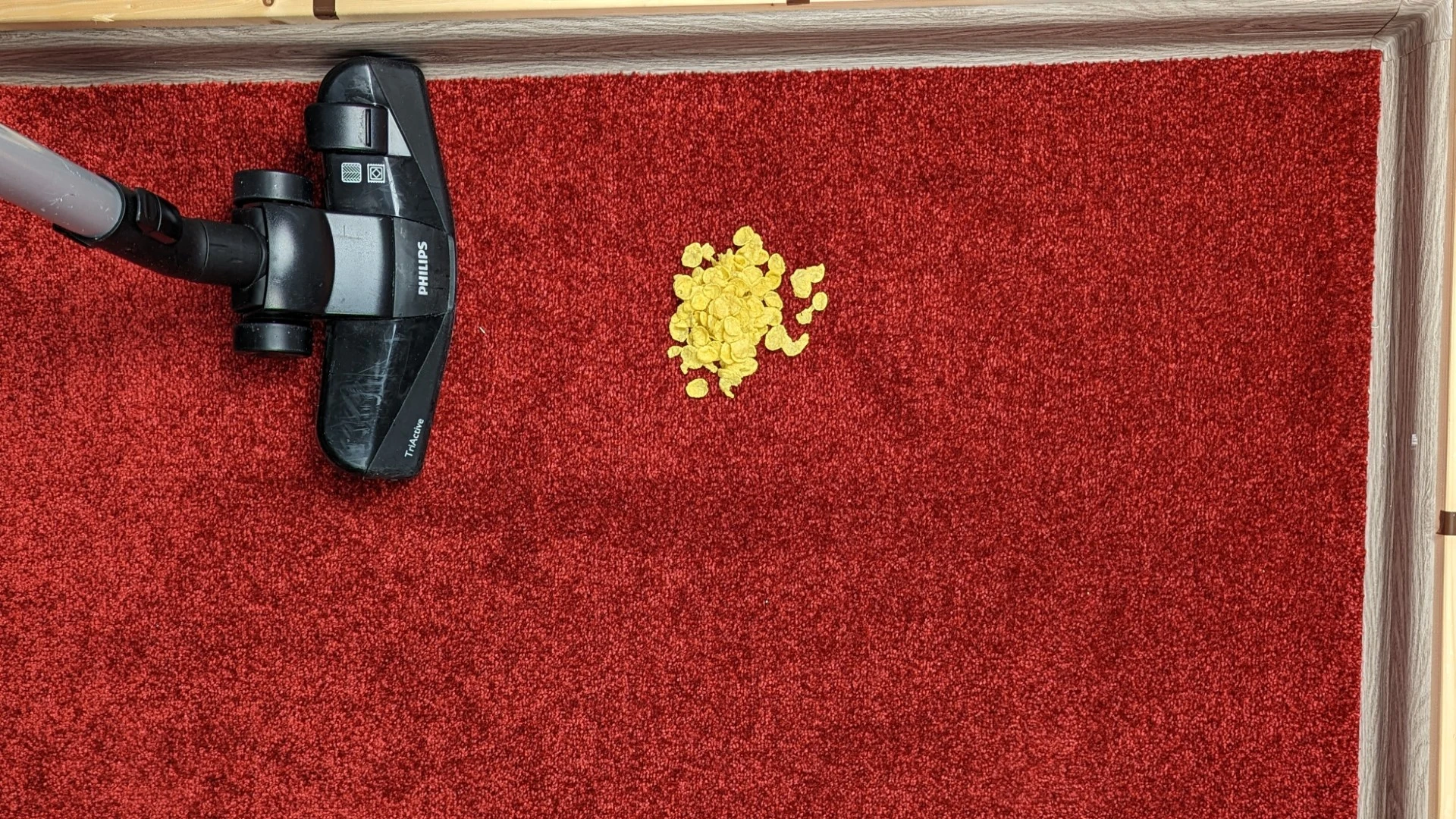 Cornflakes na koberci před testem Cornflakes na koberci před testem