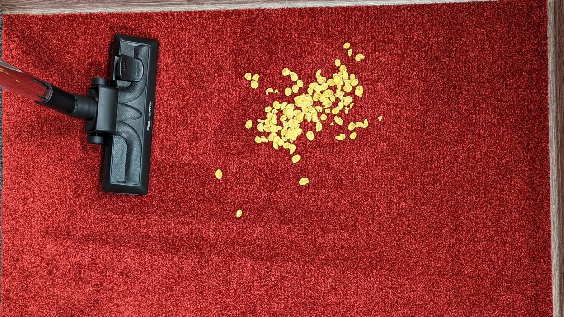 Cornflakes na koberci před testem Cornflakes na koberci před testem