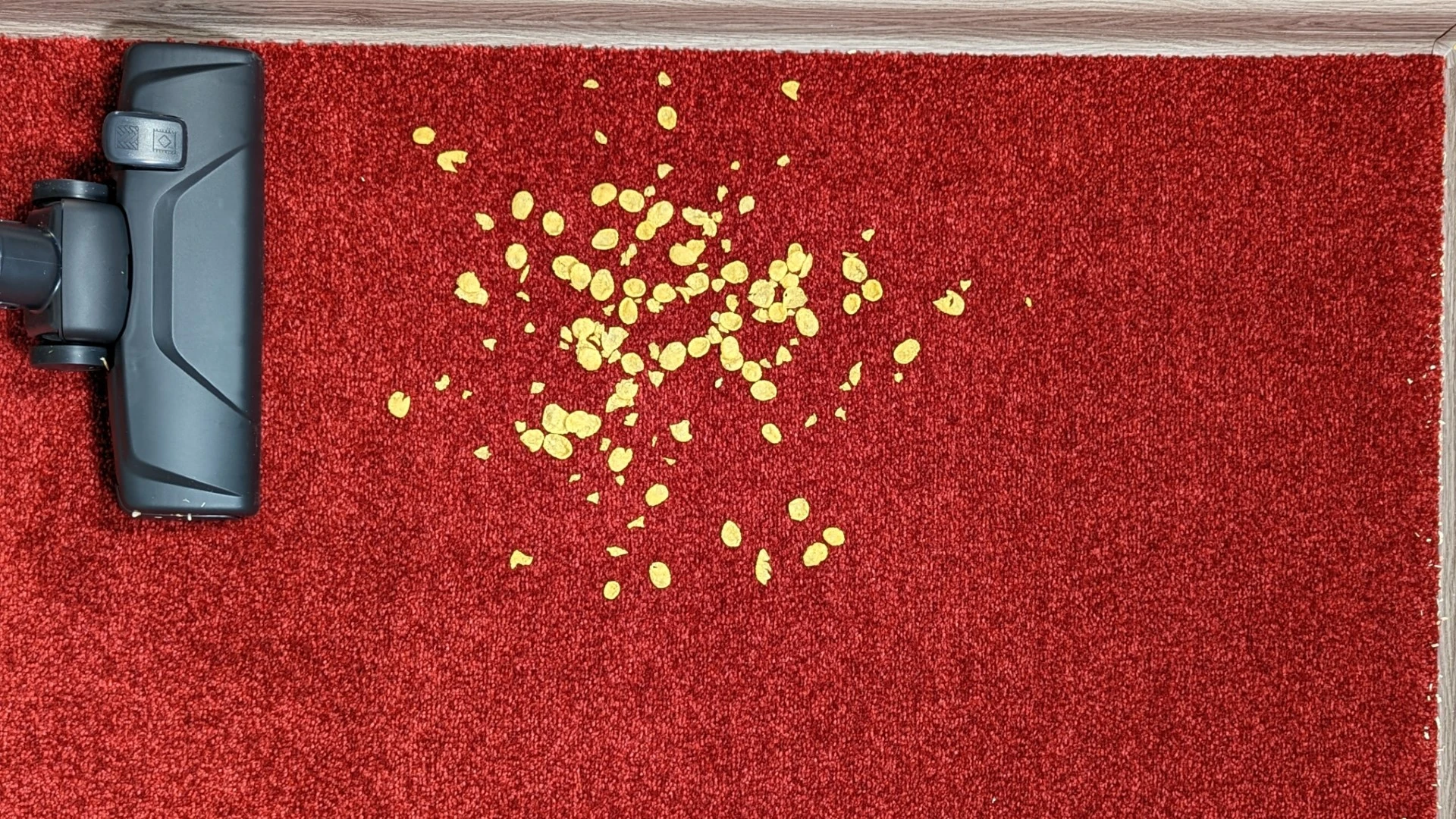 Cornflakes na koberci před testem Cornflakes na koberci před testem