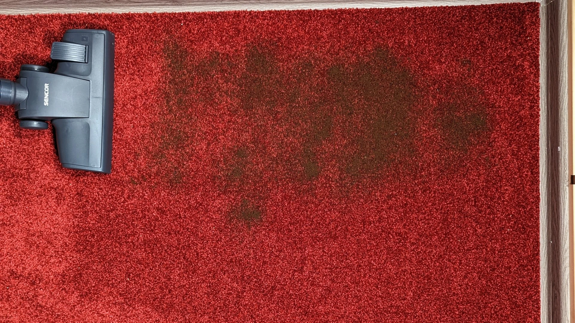 Káva na koberci před testem Káva na koberci před testem