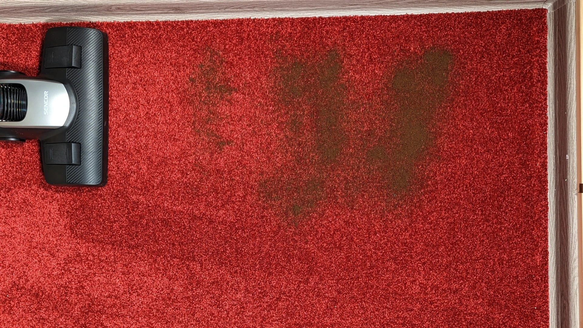 Káva na koberci před testem Káva na koberci před testem