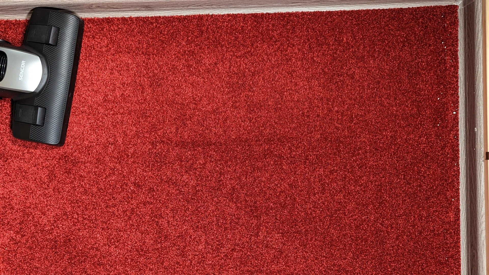 Výsledek na koberci – kočkolit Výsledek na koberci – kočkolit