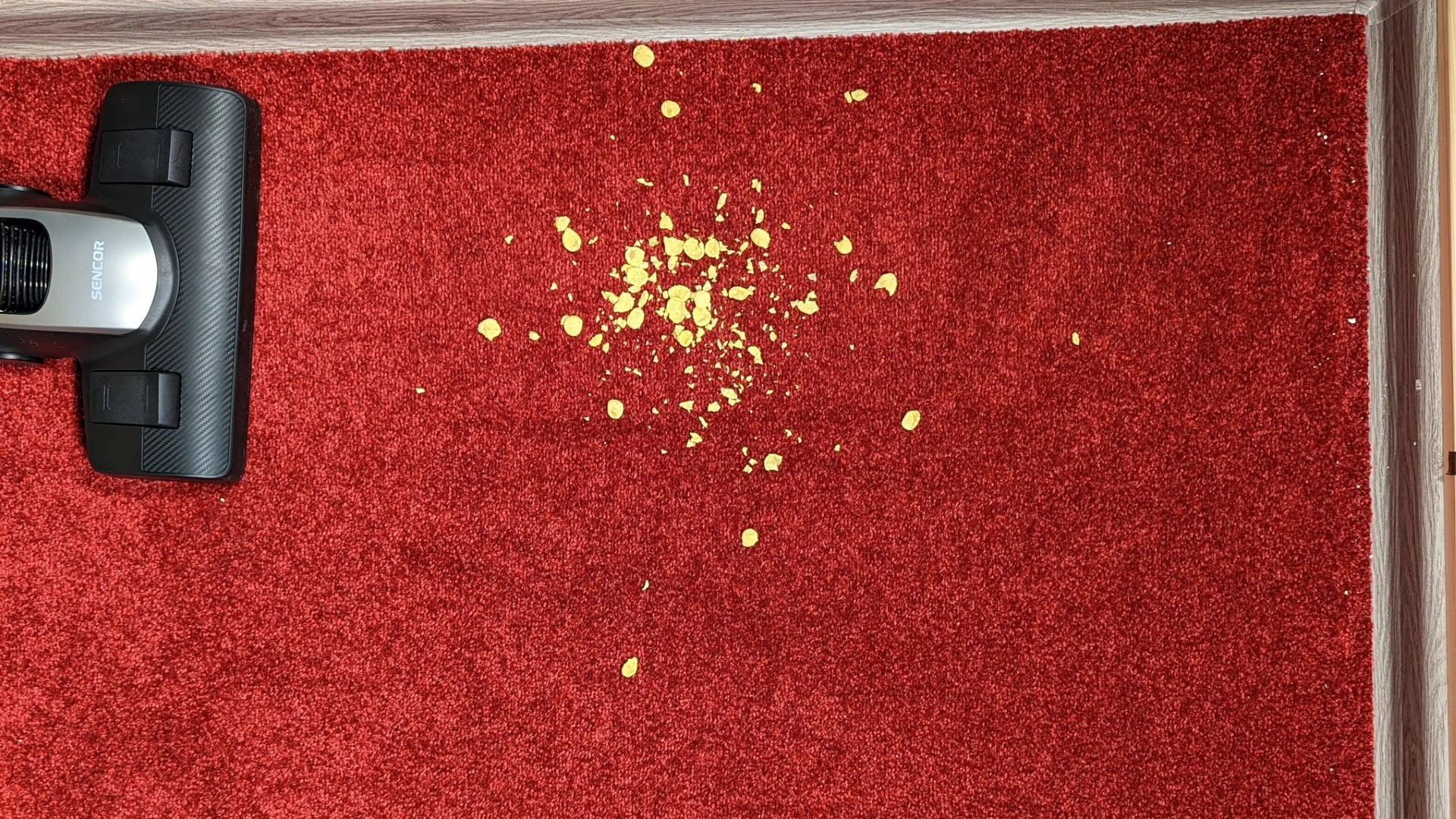 Cornflakes na koberci před testem Cornflakes na koberci před testem