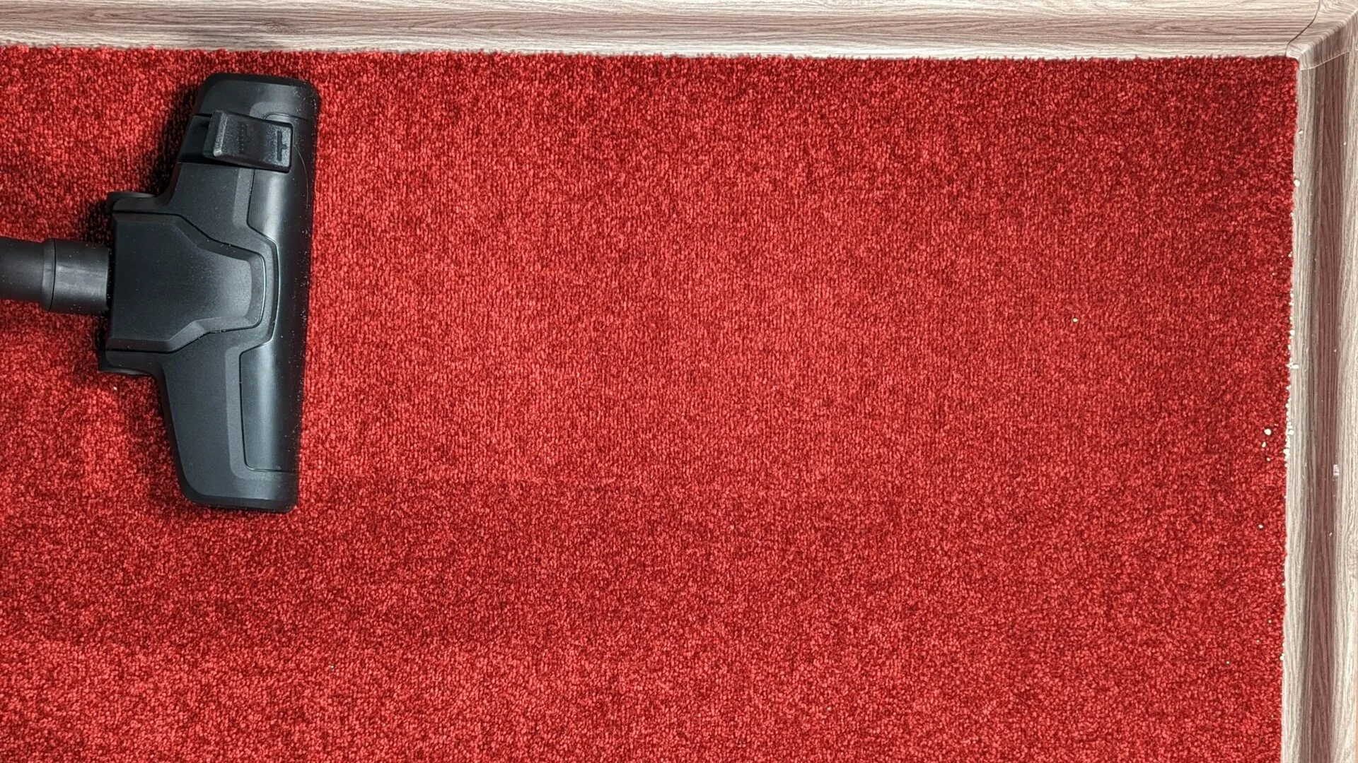 Výsledek na koberci – kočkolit Výsledek na koberci – kočkolit