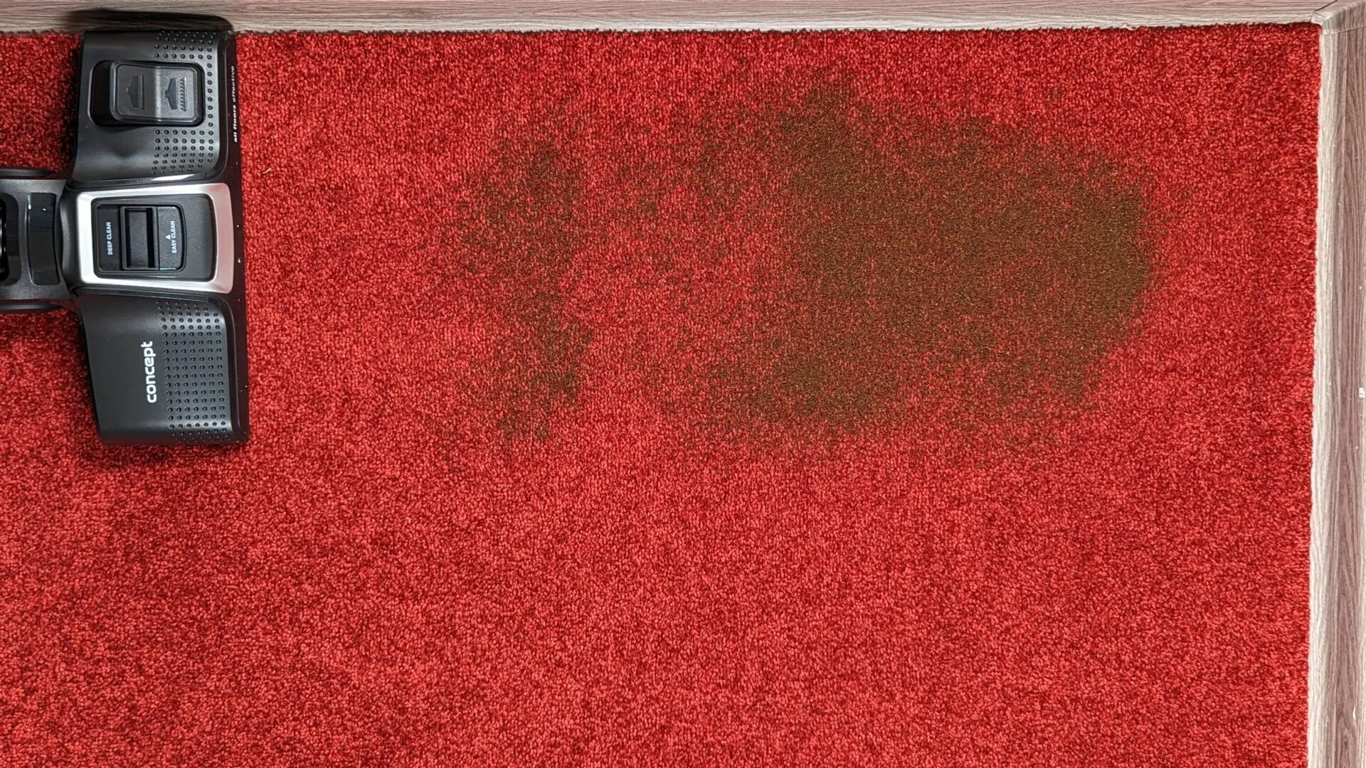 Káva na koberci před testem Káva na koberci před testem