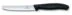 Recenze Victorinox 6.7833