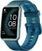 Test Huawei Watch Fit SE Recenze Huawei Watch Fit SE