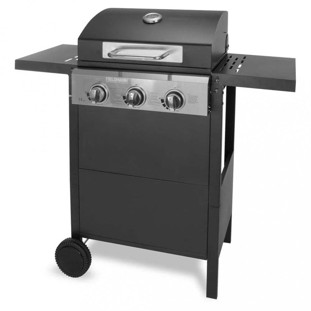 Recenze Fieldmann FZG 3003