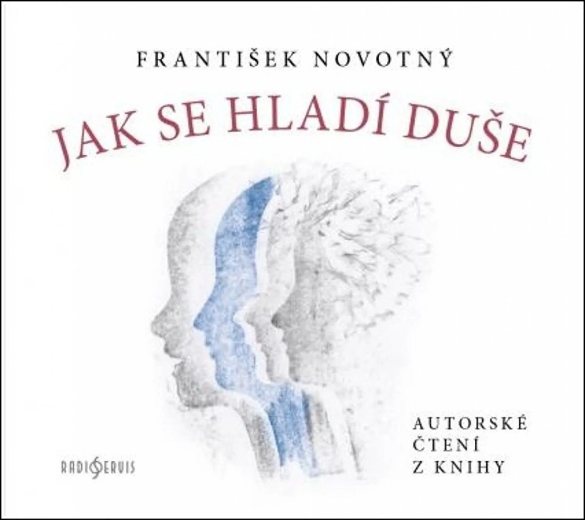 Recenze Jak se hladí duše