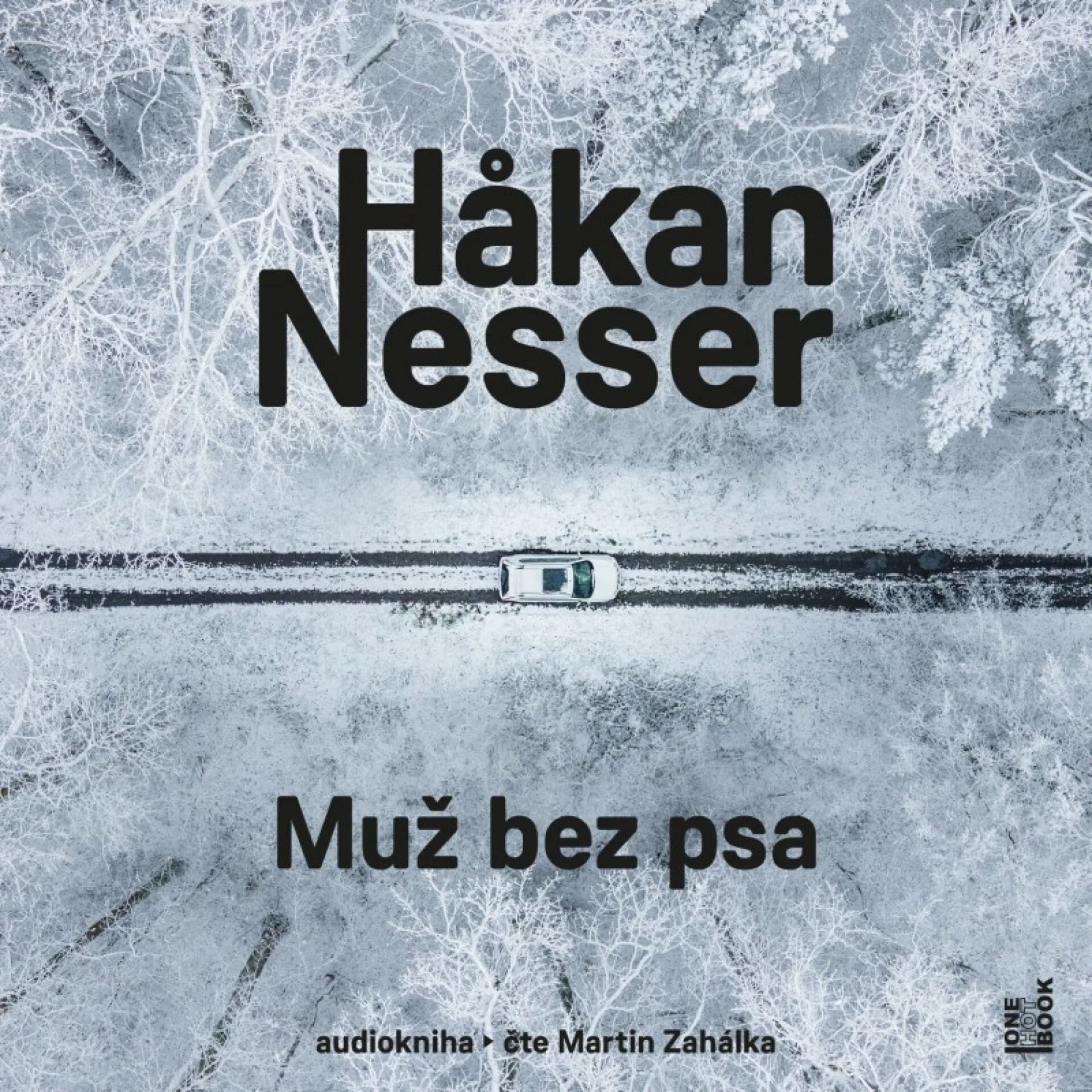 Recenze Muž bez psa