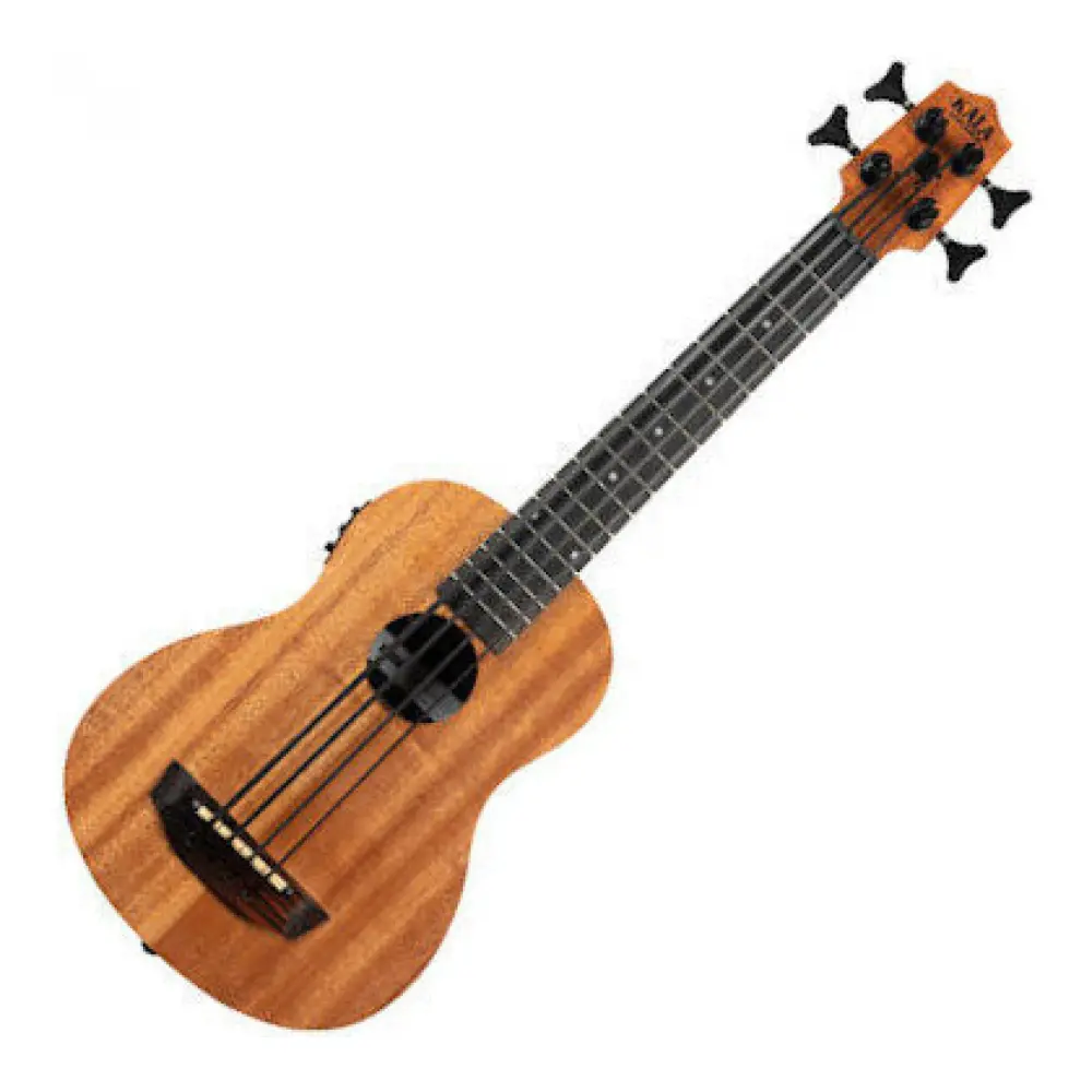 Obrázek ukazuje Basové ukulele