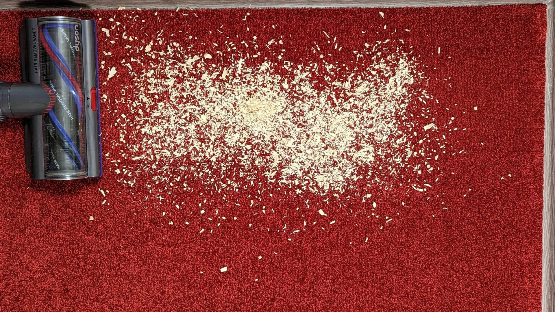 Piliny na koberci před testem Piliny na koberci před testem