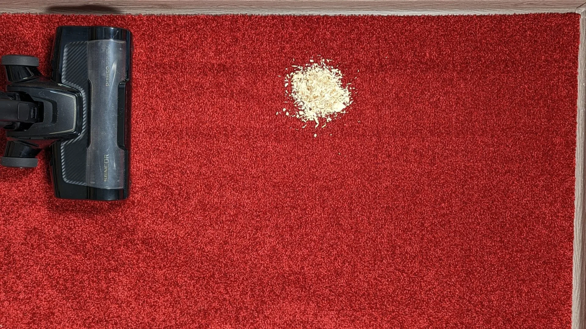 Piliny na koberci před testem Piliny na koberci před testem