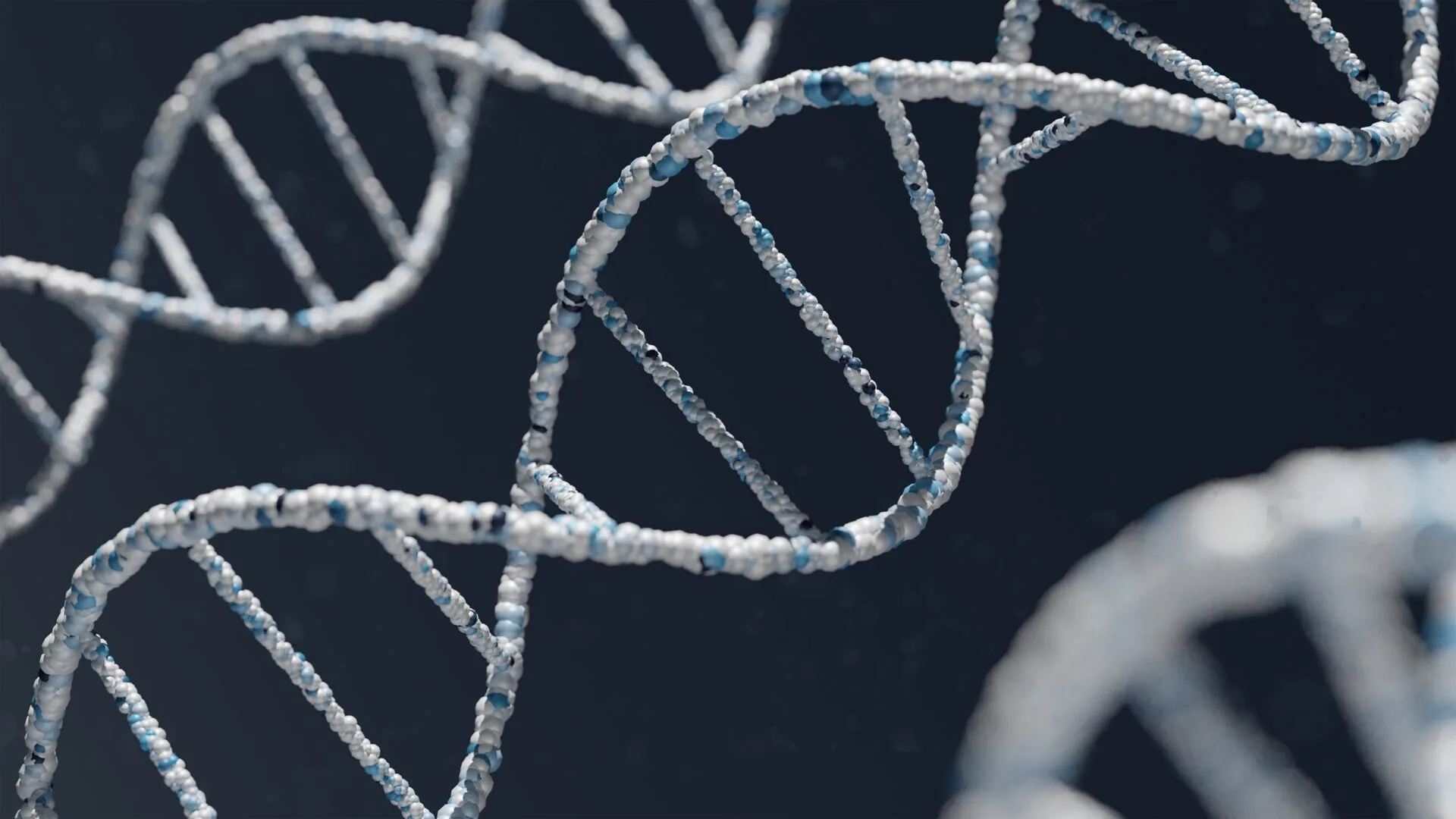 DNA má tvar dvoušroubovice Obrázek zobrazuje, že DNA má tvar dvoušroubovice