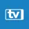 Internetové televize