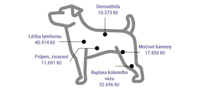 Náklady na léčbu podle PetExpert