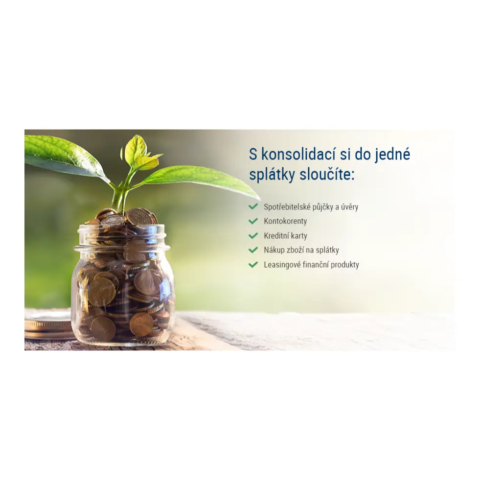 Možnosti konsolidace ČSOB Možnosti konsolidace ČSOB