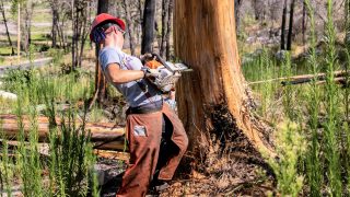 Parkside Performance za cenu hobby Parkside? Jak se liší aku pily Parkside Performance PKSA 40-Li A1&nbsp;a&nbsp;Parkside PKSA 40-Li B2