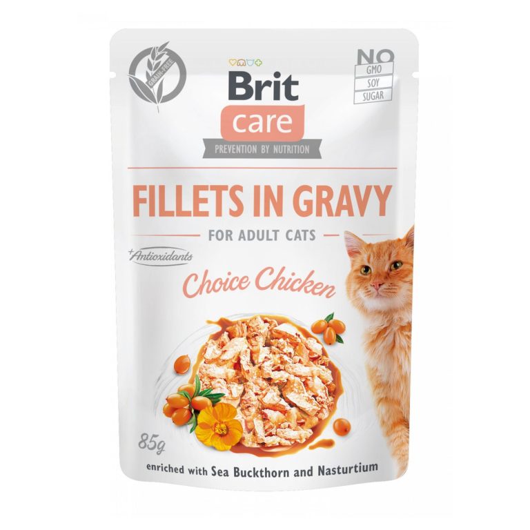 Test Brit Care Cat Fillets in Gravy Choice Chicken Recenze Brit Care Cat Fillets in Gravy Choice Chicken