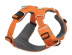 Test Ruffwear Front Range Recenze Ruffwear Front Range