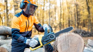 Benzínová řetězová pila Parkside PBKS 53&nbsp;B3: Hodnocení uživatelů a&nbsp;nejlepší alternativy od konkurence 