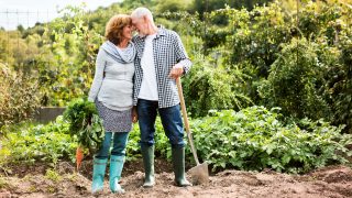 Zahradní kultivátor Parkside PGK 1500&nbsp;A1: Hodnocení uživatelů a&nbsp;nejlepší alternativy od konkurence