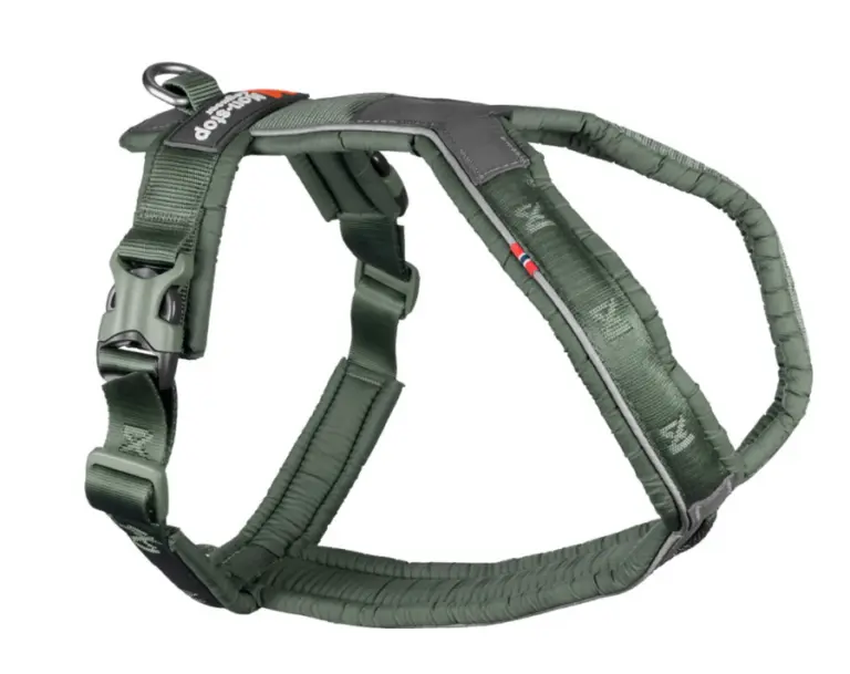 Test Non-stop Dogwear Postroj Line 5.0 Recenze Non-stop Dogwear Postroj Line 5.0