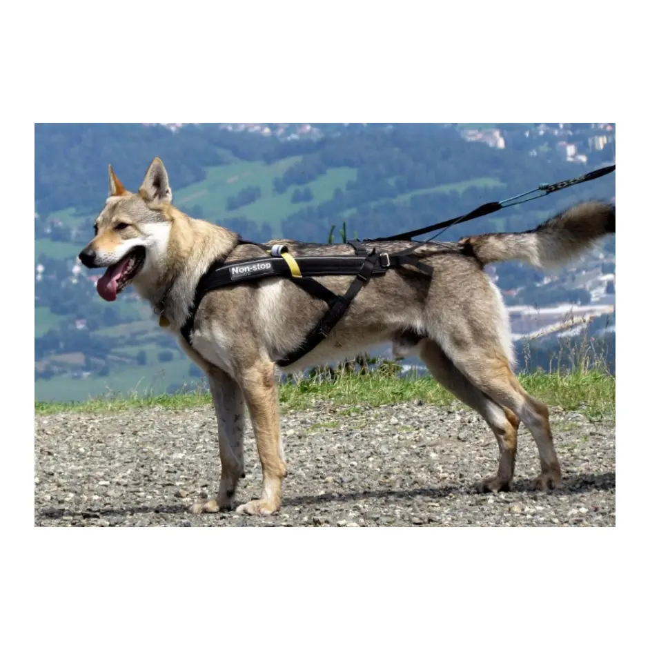 Non-stop Dogwear dlouhý postroj Free Motion Non-stop Dogwear dlouhý postroj Free Motion