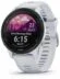 Test Garmin Forerunner 255 Music Recenze Garmin Forerunner 255 Music