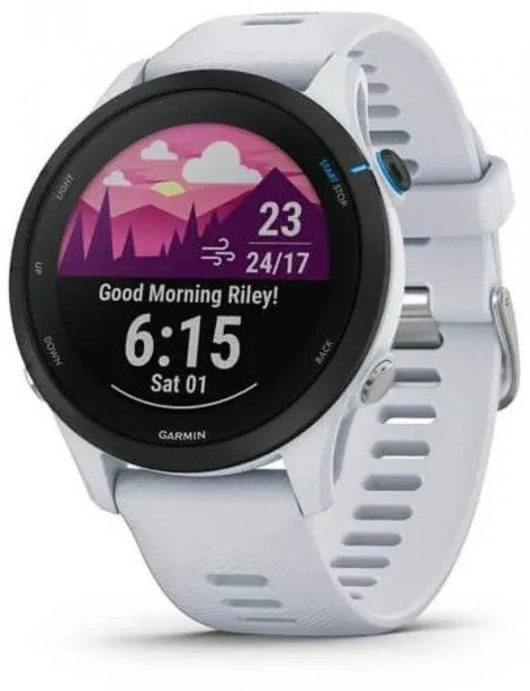 Test Garmin Forerunner 255 Music Recenze Garmin Forerunner 255 Music