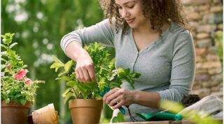 Parkside uvádí na trh novou produktovou řadu: Nabízí udržitelnost, odolnost a&nbsp;příjemnou cenou 