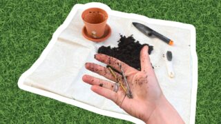 Sada vrtáků Parkside za 100&nbsp;Kč&nbsp;se vyrábí v&nbsp;Číně, přesto v&nbsp;testu zabodovala