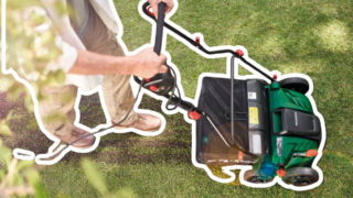 Zachraňte trávník po zimě 2023/2024 vertikutací! Levný Parkside práci zastane na výbornou