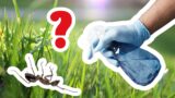 3 způsoby, jak se zbavit mravenců: Před hmyzí apokalypsou se dobře zamyslete