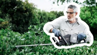 3 TOP produkty Parkside pro údržbu zahrady: Raději si připlaťte za levnou řadu Performance