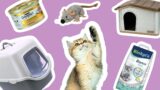 5 věcí před adopcí kočky: Co zajistit, aby byl váš nový pán domácnosti spokojený?