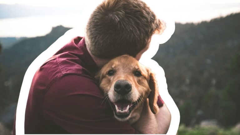 TOP 5 prostředků pro psa proti klíšťatům: Jak ochránit mazlíčka i&nbsp;sebe?