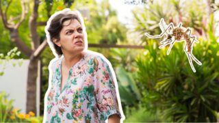 Trápí vás štípance od komárů? Zkuste je vypálit!