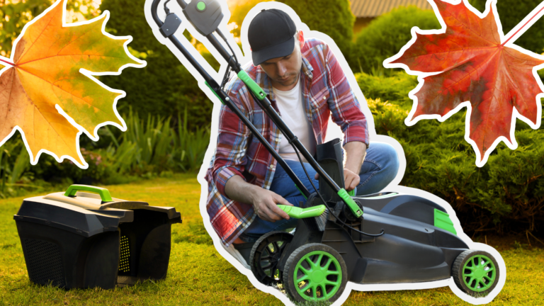 Jak zazimovat sekačku v roce 2024, aby zjara fungovala jako nová