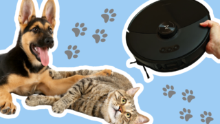 Spotřebitelský test 2024: Nejlepší robotický vysavač k&nbsp;mazlíčkům má Roborock