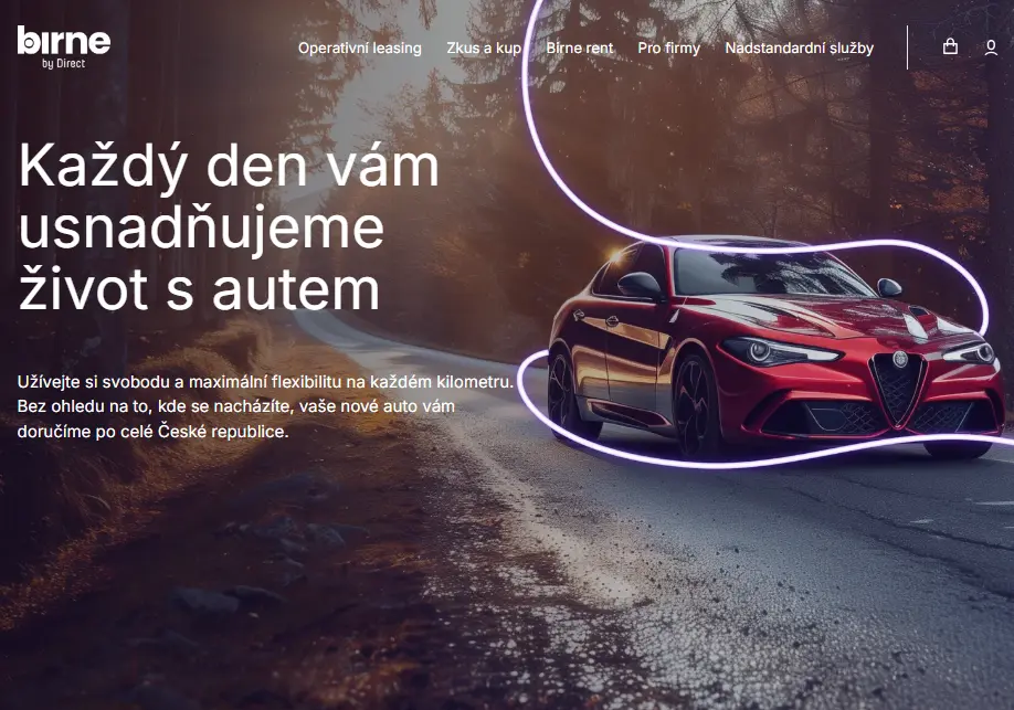 Birne vás zaujme přehledným webem Birne vás zaujme přehledným webem