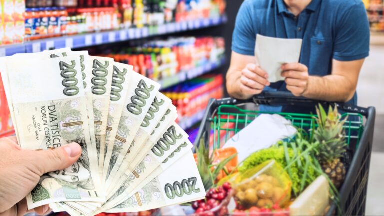 Supermarkety dostávají statisícové pokuty, obraty se pohybují v&nbsp;desítkách miliard