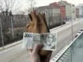 Nejlepší spořicí účty roku 2026? VÚB vítězí bez podmínek. mBank a&nbsp;Raiffka dají víc, ale mají háčky