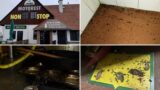 Mrtvé myši, plíseň a&nbsp;vrstva špíny: Inspekce zavřela proslulý motorest Rohlenka, v&nbsp;únoru jde o&nbsp;11. případ