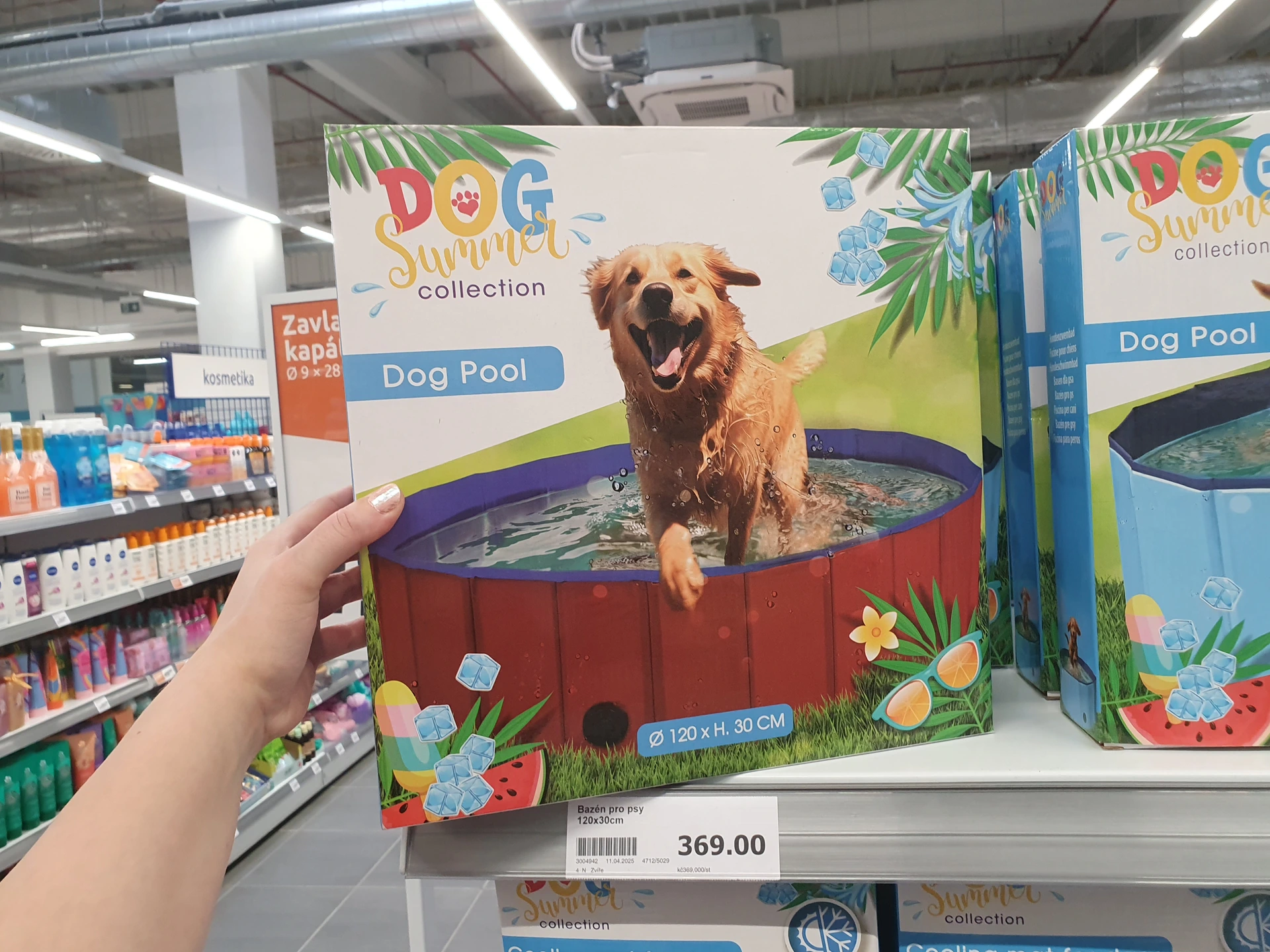 Bazén pro psy