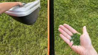 Dlouhodobý test mulčování robotickou sekačkou: Viditelně hustší a&nbsp;zelenější trávník už po šesti týdnech