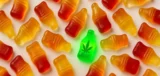 Haribo stahuje z&nbsp;prodeje oblíbené bonbony: V&nbsp;1 šarži se objevily stopy konopí, většině Čechů riziko nehrozí