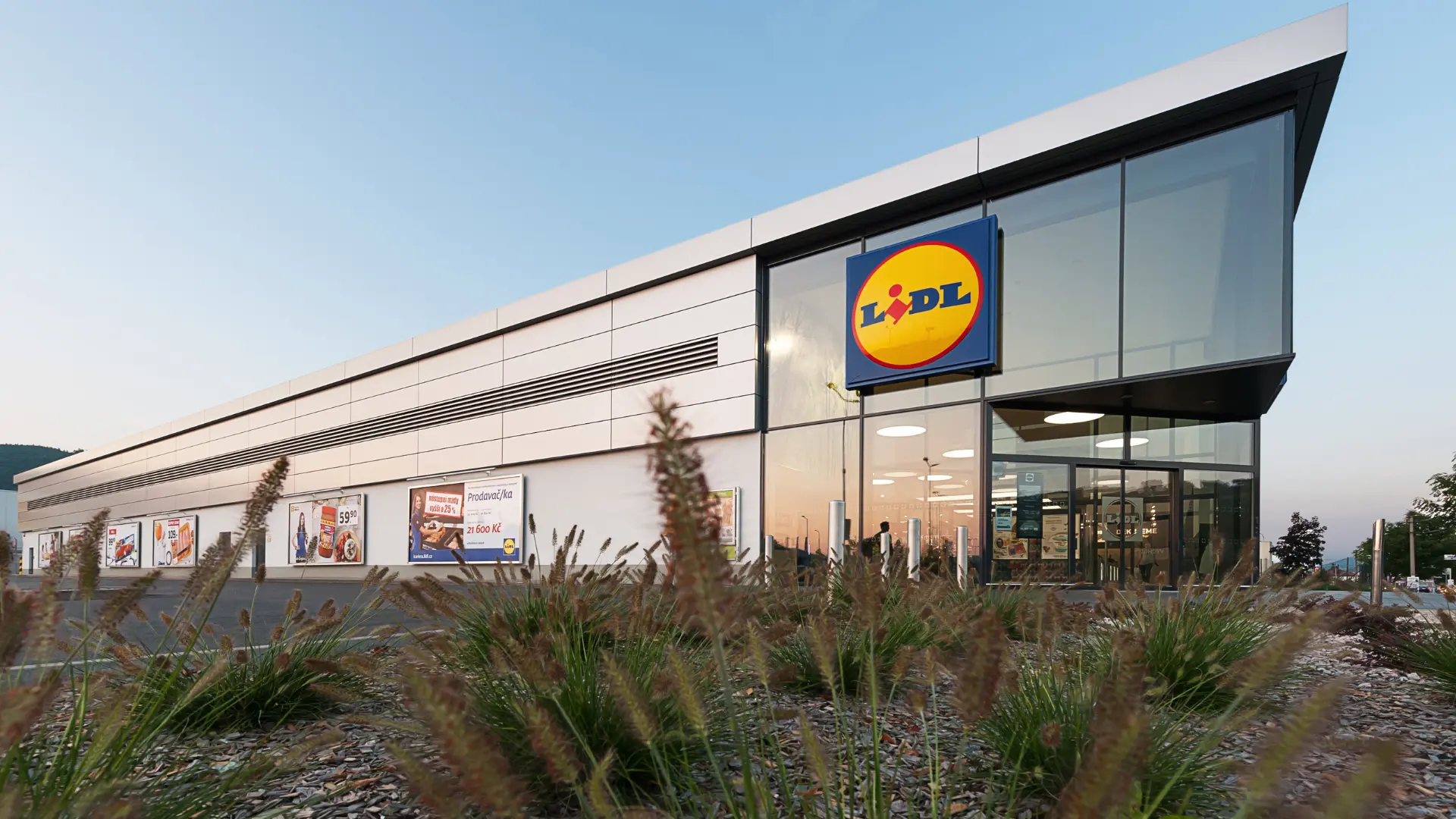 Slevový leták Lidl od pondělí 2. června: Levná cherry rajčata doplňují ...