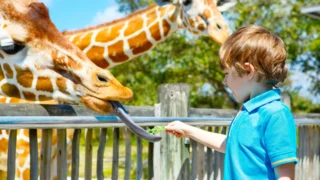 Nejkrásnější zoo Evropy? Zapomeňte na Prahu, tato perla leží ve Zlínském kraji