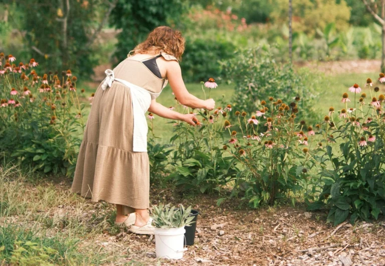 Zakázané invazivní rostliny: až 100 tisíc pokuta pokud je neřešíte, z&nbsp;fotek možná poznáte svou zahradu